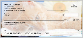 Precious Kittens Checks
