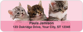 Precious Kittens Address Labels