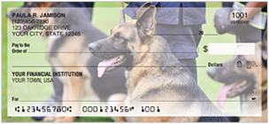 Law Enforcement Checks