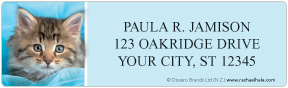 rachaelhale� Kittens Address Labels