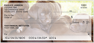 Labrador Retriever Checks