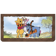 Winnie the Pooh Adventures Checkbook Cover